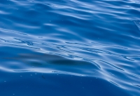 seablue.jpg